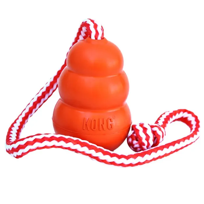 KONG Aqua Dog Toy